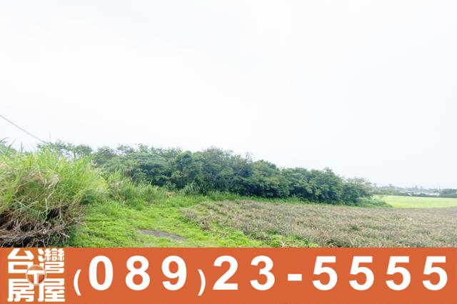 台東房地產買賣