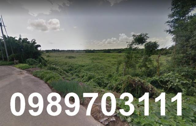 桃園新屋農地-2