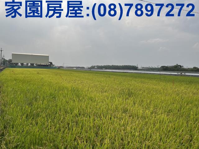 屏東萬丹農地-4