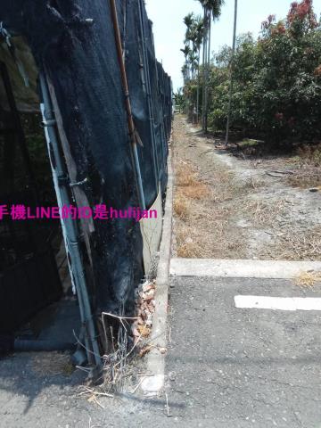 彰化永靖農地-3