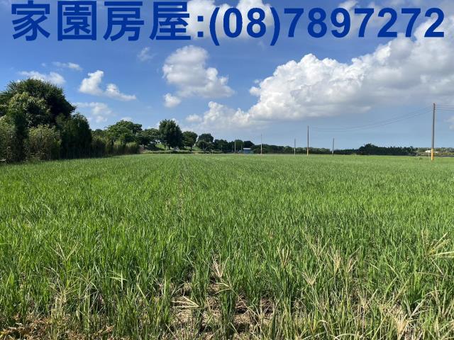 屏東萬丹農地-3