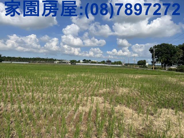 屏東萬丹農地-4