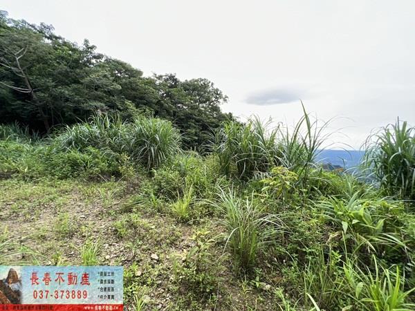 苗栗農地-10