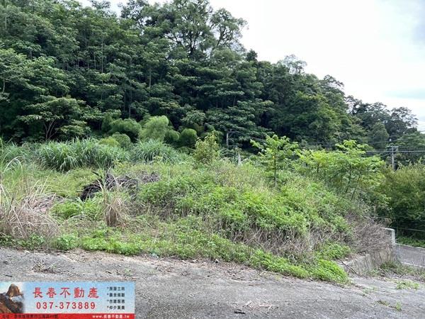 苗栗農地-7