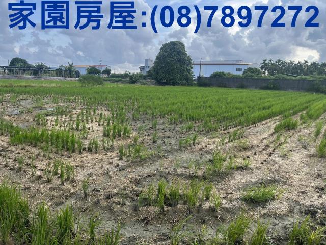 屏東萬丹農地-2