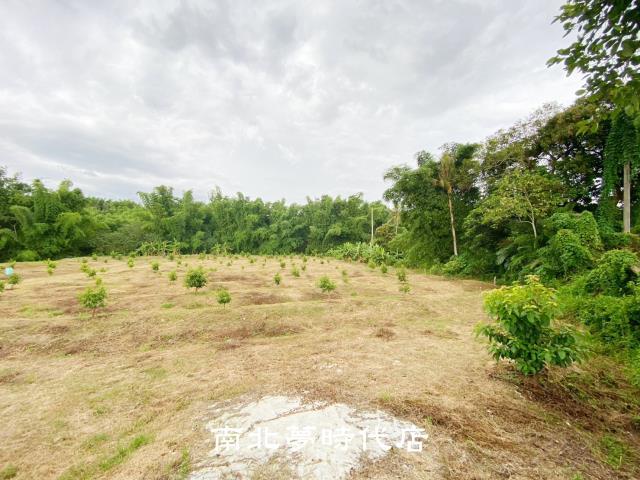 台南左鎮農地-14