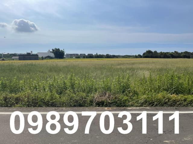 桃園觀音農地-2