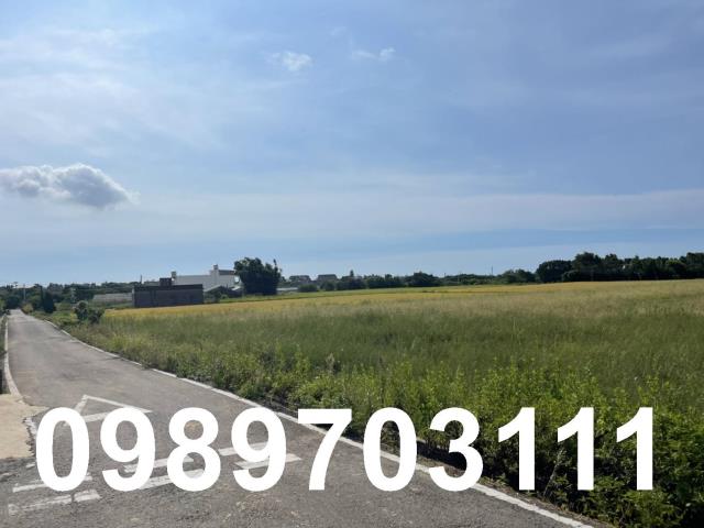 桃園觀音農地-4