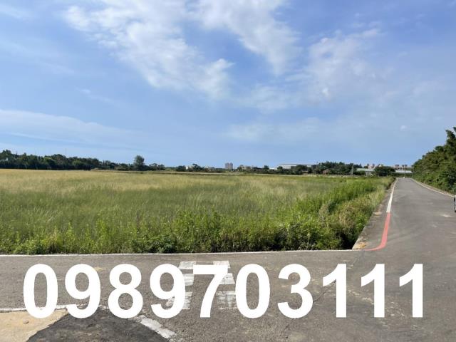 桃園觀音農地-5