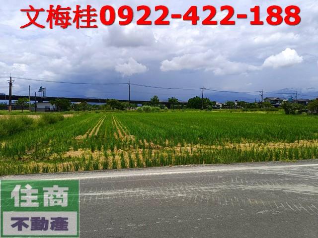 宜蘭壯圍農地-1