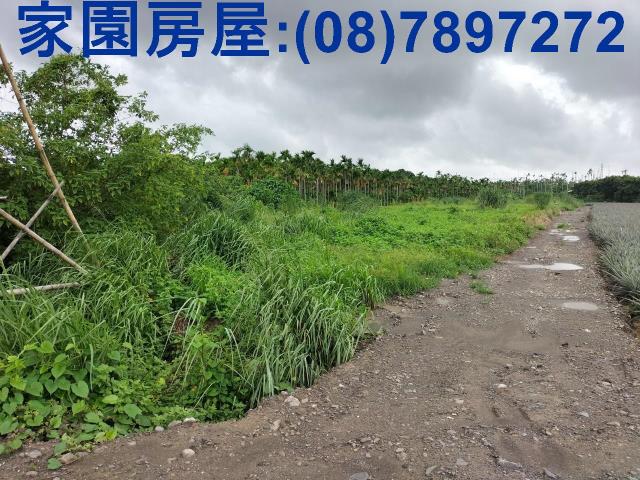 屏東屏東市農地-1