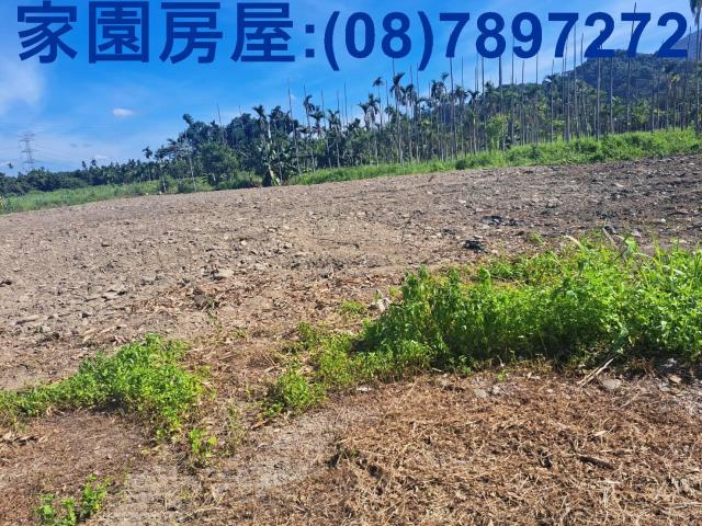 屏東萬巒農地-4