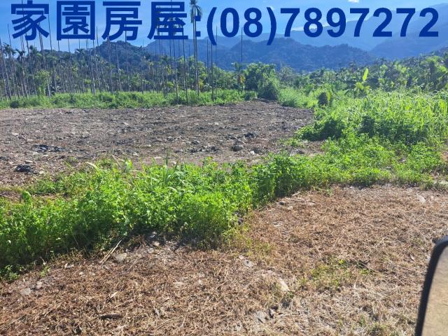 屏東萬巒農地-5