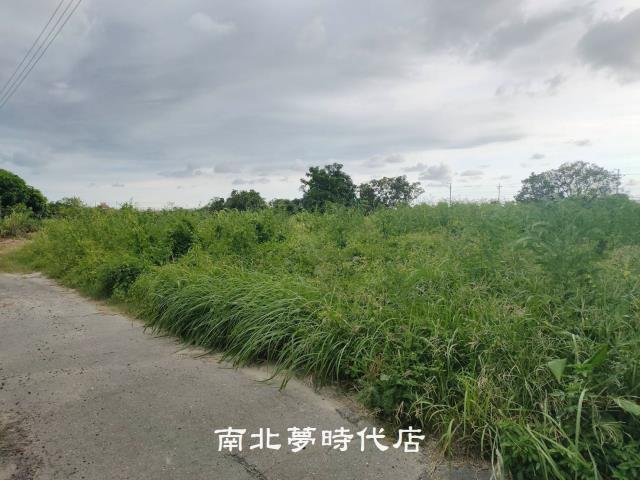 台南西港農地-2