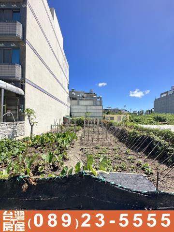 台東台東市建地-2