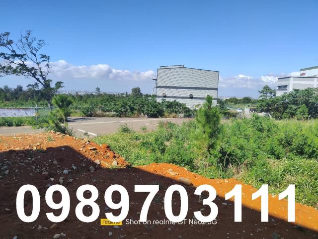 桃園楊梅工業地-2