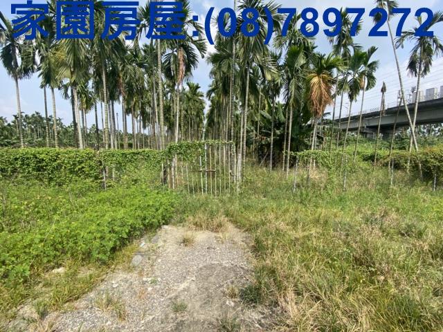 屏東竹田農地-4