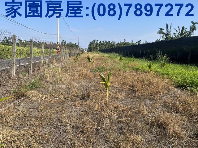 屏東竹田農地-2