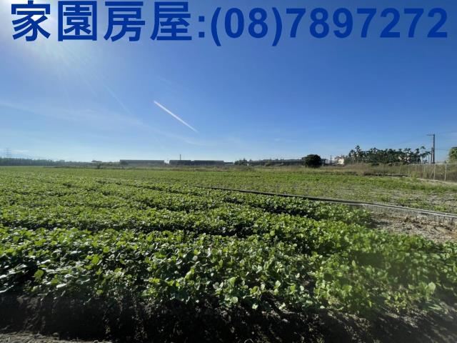 屏東農地-1