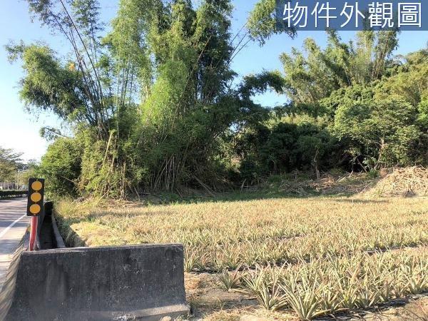 台南關廟農地-3