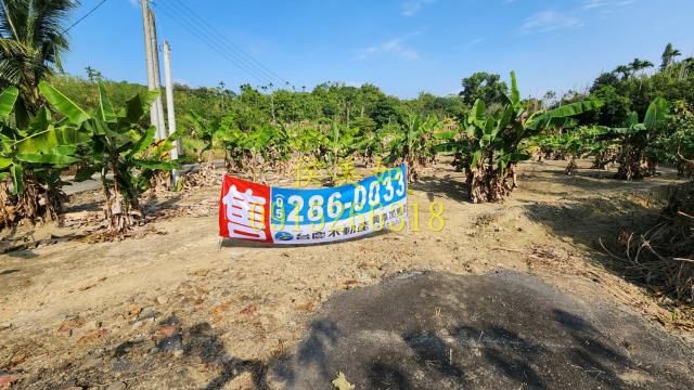 東區農地-12