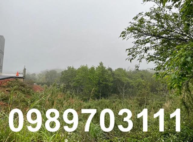 桃園龍潭農地-2