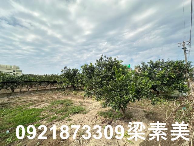 台南麻豆農地-11