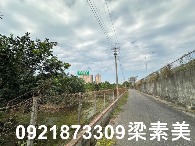 台南麻豆農地-6