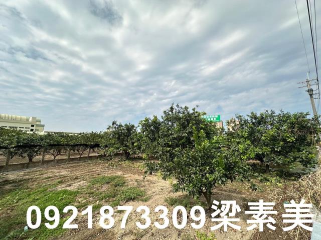 台南麻豆農地-7