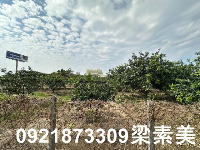 台南麻豆農地-9