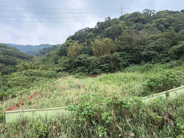 桃園龜山建地-10