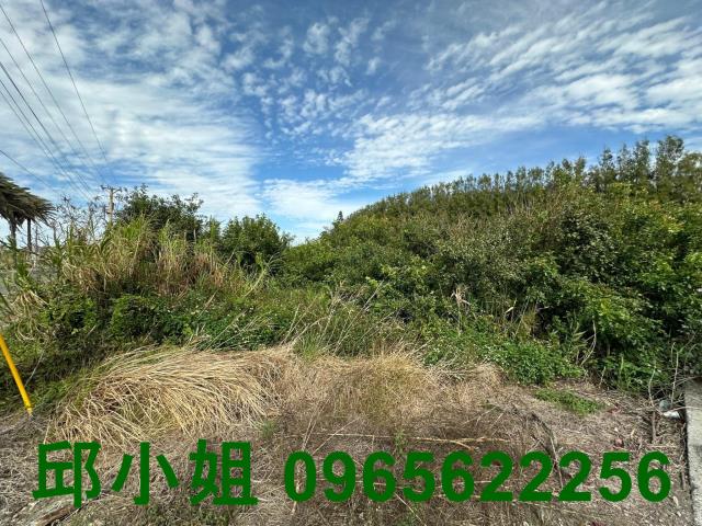 雲林四湖建地-1