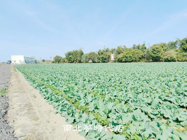 台南仁德農地-2