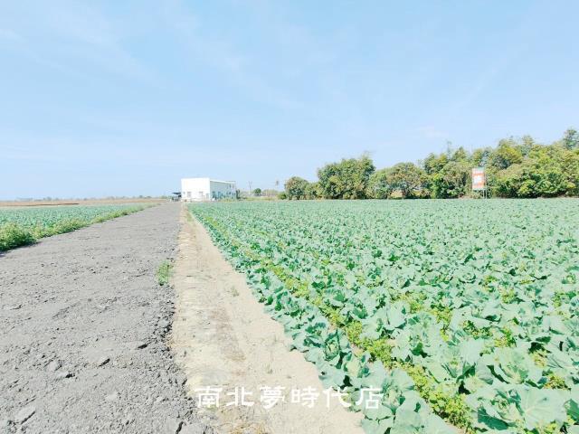 台南仁德農地-3