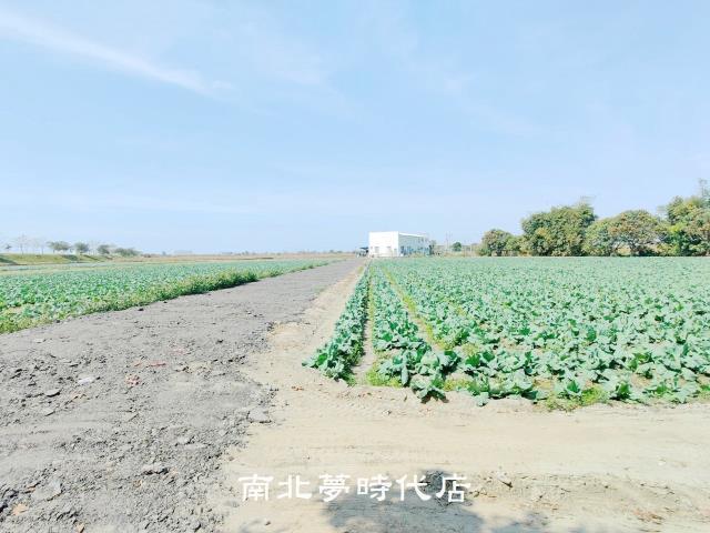 台南仁德農地-4