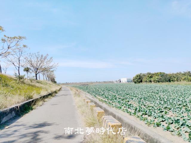 台南仁德農地-5