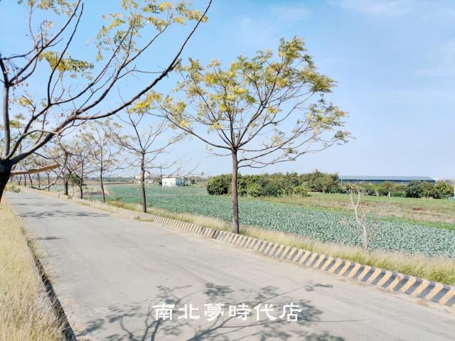 台南仁德農地-6