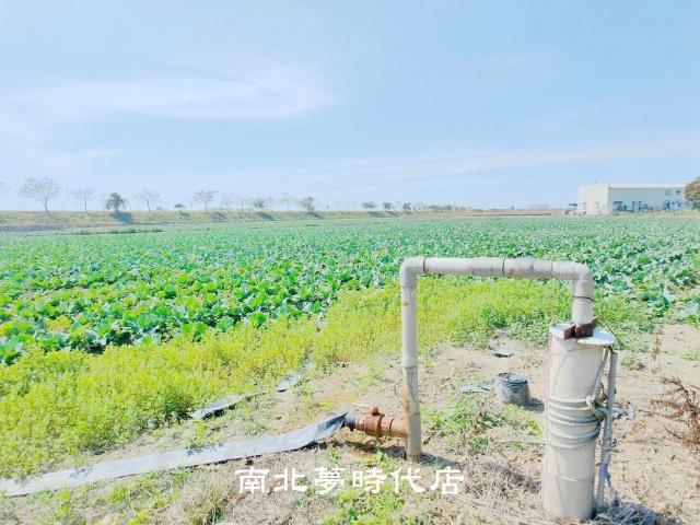 台南仁德農地-7