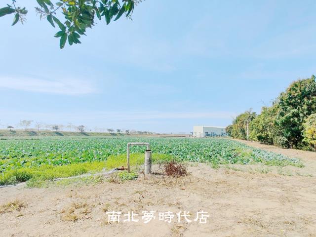 台南仁德農地-8