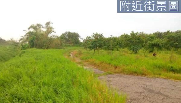 台南歸仁農地-2