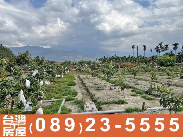 內埔農地-3