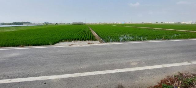 嘉義農地-1