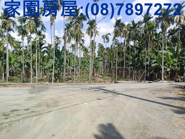 屏東南州農地-2