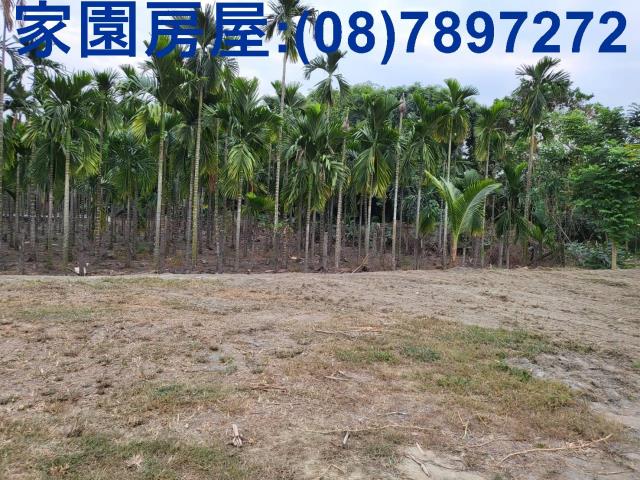 屏東南州農地-7