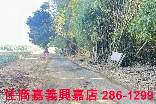 嘉義農地-12