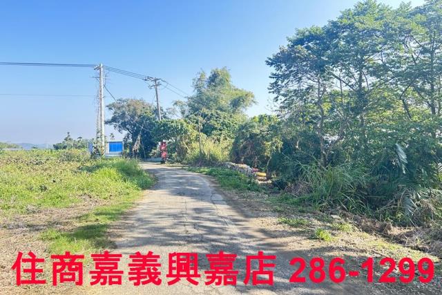 嘉義農地-13