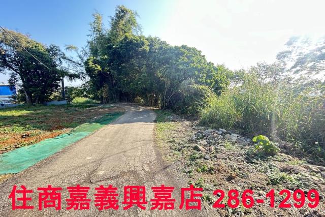 嘉義農地-14