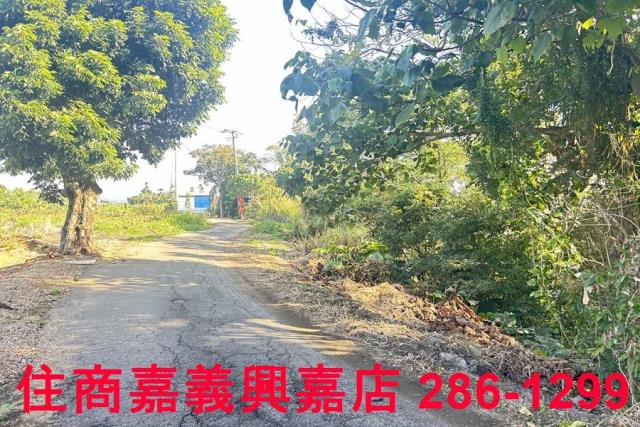 嘉義農地-15