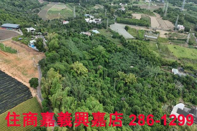 嘉義農地-2