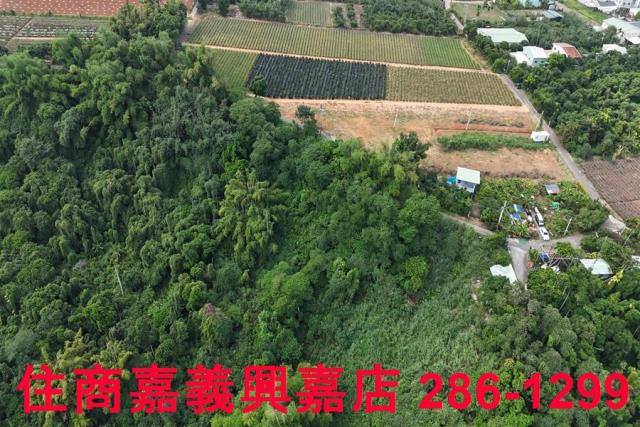 嘉義農地-3